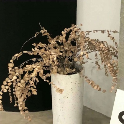 Furry角色动作设计兽圈社群